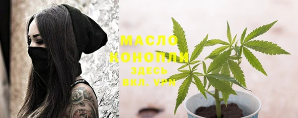 шишки Пересвет