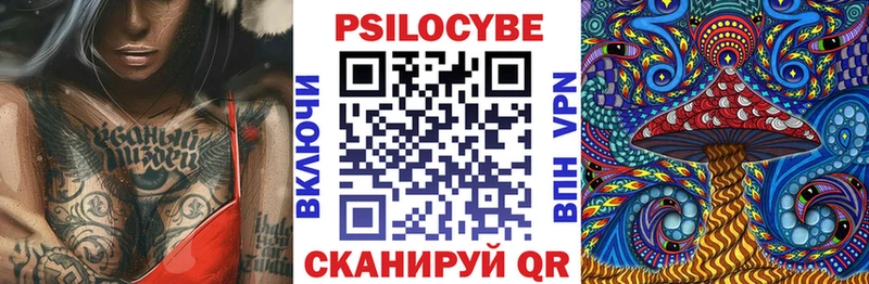 как найти закладки  Тула  Псилоцибиновые грибы ЛСД 
