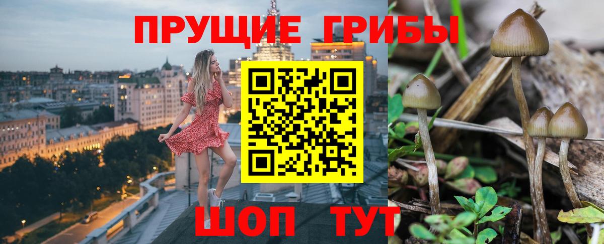 Галлюциногенные грибы ЛСД Тула